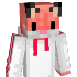 SpaceFox_ Minecraft avatar bust
