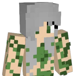 SpaceMermaid200 Minecraft avatar bust