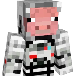 SpacePorkChop Minecraft avatar bust
