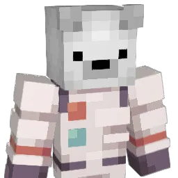 Space___Bear Minecraft avatar bust