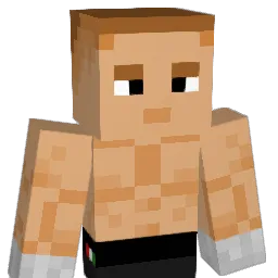 Spice1_1 Minecraft avatar bust