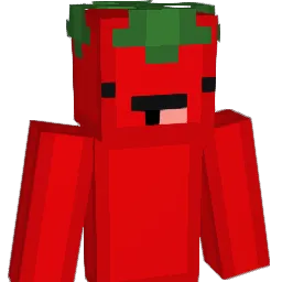 SpiciestBurrito Minecraft avatar bust