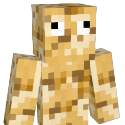SpicyGatorade Minecraft avatar bust