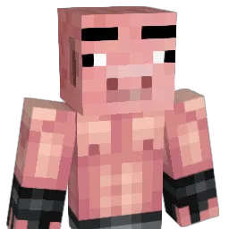Spiderpig0890 Minecraft avatar bust
