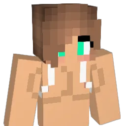 SpiritWolf__7 Minecraft avatar bust
