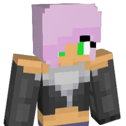 Spjr23 Minecraft avatar bust