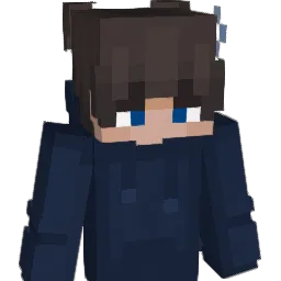 Splashion