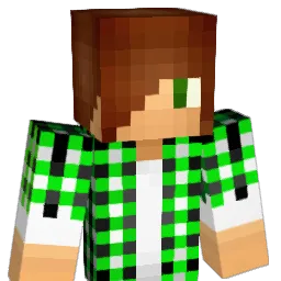 SplayAphid954 Minecraft avatar bust