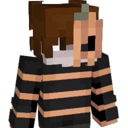 SpongyDavid Minecraft avatar bust