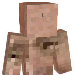 Squidy6200 Minecraft avatar bust