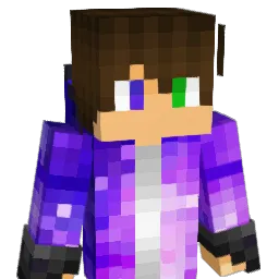 SrFlexCraft_YT Minecraft avatar bust