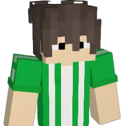 SrHibisco Minecraft avatar bust