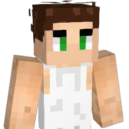 SrKraft119 Minecraft avatar bust