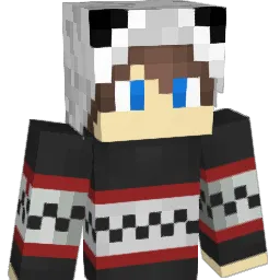 SrPandita25 Minecraft avatar bust