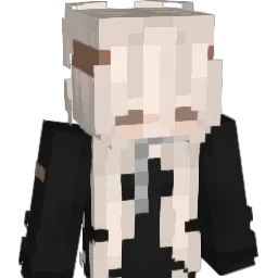 SrYash1101 Minecraft avatar bust