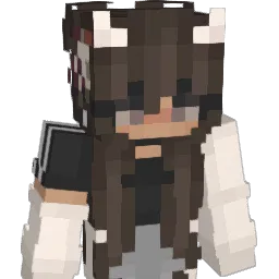 Sridi's Minecraft skin