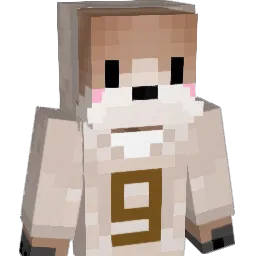 Ssal_9 Minecraft avatar bust