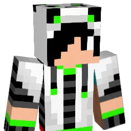 Ssll21 Minecraft avatar bust