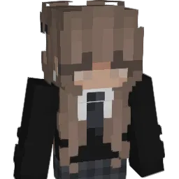 St0rmz33 Minecraft avatar bust
