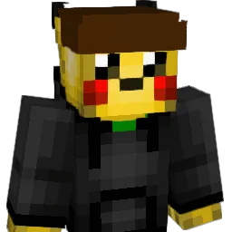 St4ckPL's Minecraft skin