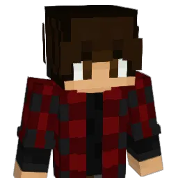 St4nl_ey Minecraft avatar bust