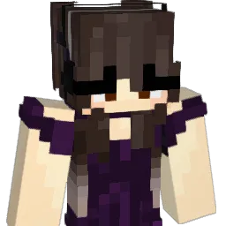 StalkerR2 Minecraft avatar bust