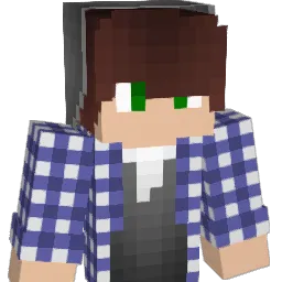 Stand_C0rrected's Minecraft skin