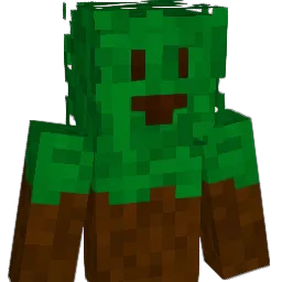 StarBlizzardStar Minecraft avatar bust