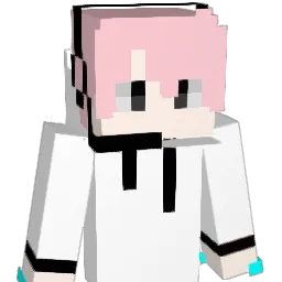 StarOa Minecraft avatar bust