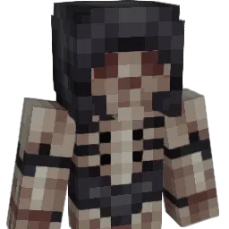 Star_Wraith Minecraft avatar bust