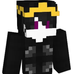 StardustMC_'s Minecraft skin