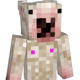 Starfish91 Minecraft avatar bust