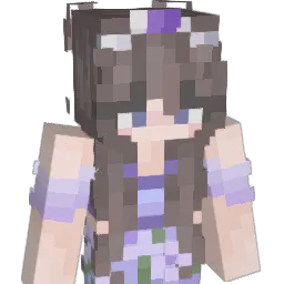 StarrySavvy Minecraft avatar bust