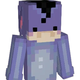 Starry_Night_999 Minecraft avatar bust