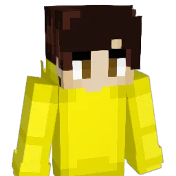 Stationnement Minecraft avatar bust