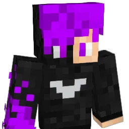 SteakInsel2007 Minecraft avatar bust