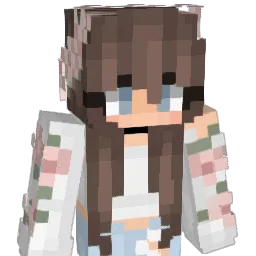 StealKill_ Minecraft avatar bust