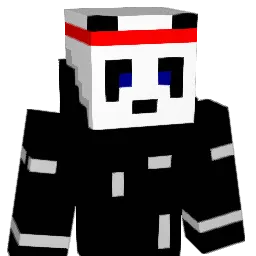 Stealth_Ninjjja Minecraft avatar bust