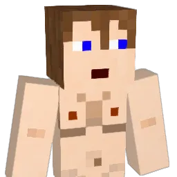 Steel1270 Minecraft avatar bust
