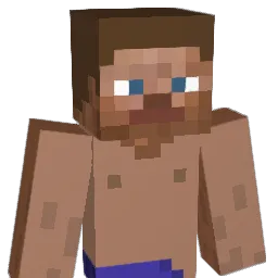 Steel26Curtain1 Minecraft avatar bust