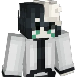 Steen_11