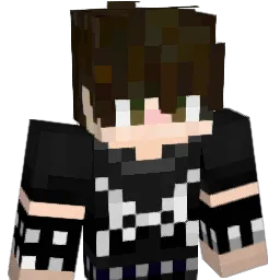 SteeveMw1_ Minecraft avatar bust
