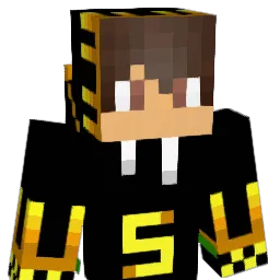 StefDeW Minecraft avatar bust