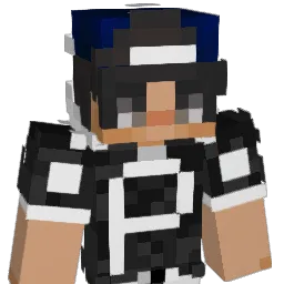 StefPan07's Minecraft skin