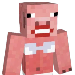 Stefanpula Minecraft avatar bust
