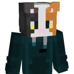 Stefii24 Minecraft avatar bust