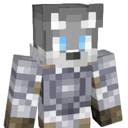 StelgiN Minecraft avatar bust