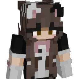 StellarFoxy Minecraft avatar bust