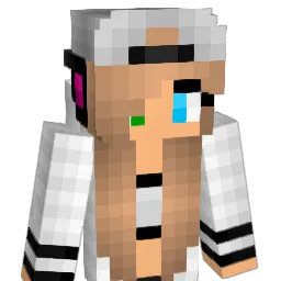 Stena08 Minecraft avatar bust