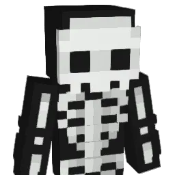 StepBroDoctor Minecraft avatar bust